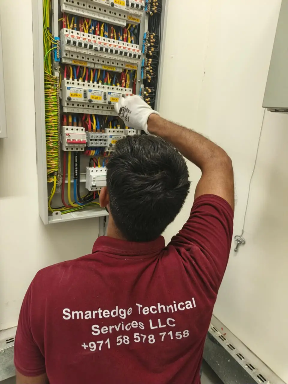 Past work